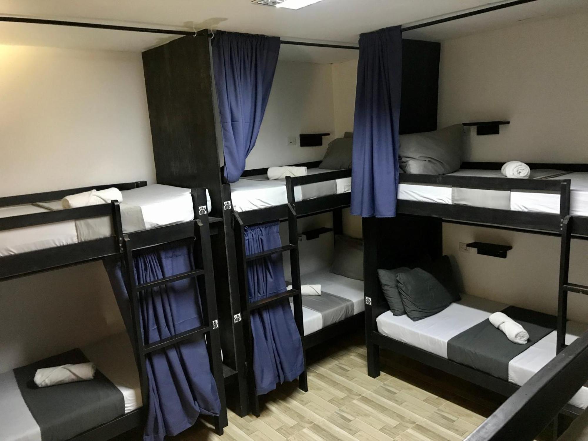 Crazy Bears Hostel Moalboal Zewnętrze zdjęcie