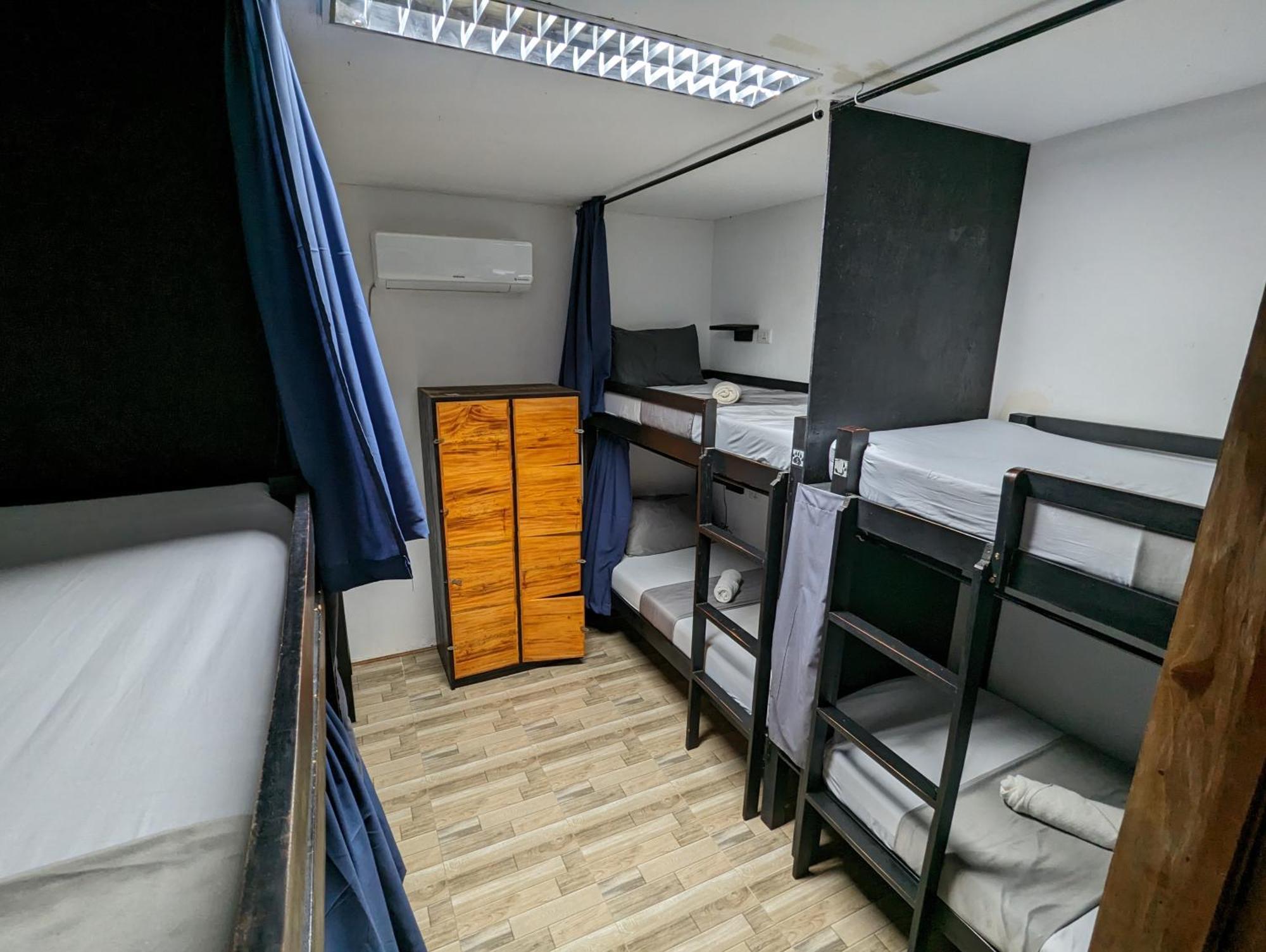 Crazy Bears Hostel Moalboal Zewnętrze zdjęcie