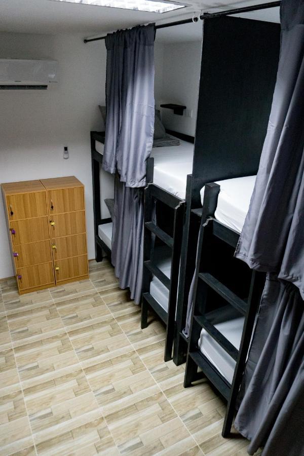 Crazy Bears Hostel Moalboal Zewnętrze zdjęcie